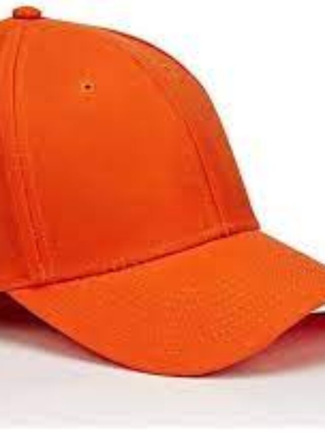 IPL Total  Orange Cap Winner List